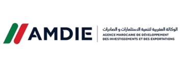 AMDIE logo